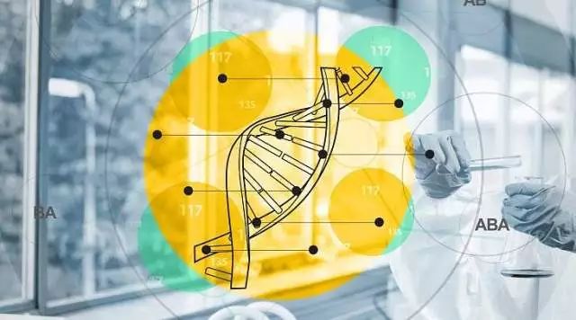 大盘调整之后怎么走?记住喝酒吃药就对了