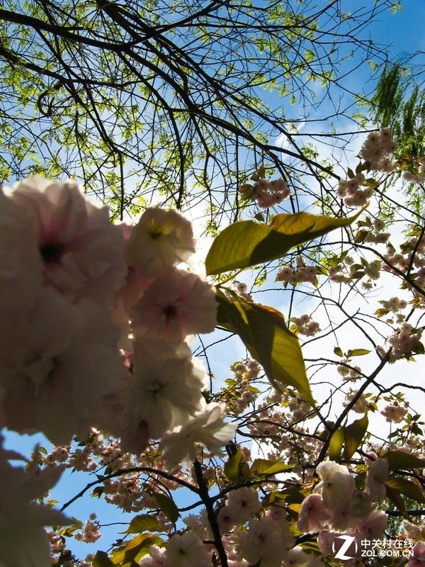 给CC的文章啊啊啊啊啊啊啊啊啊 