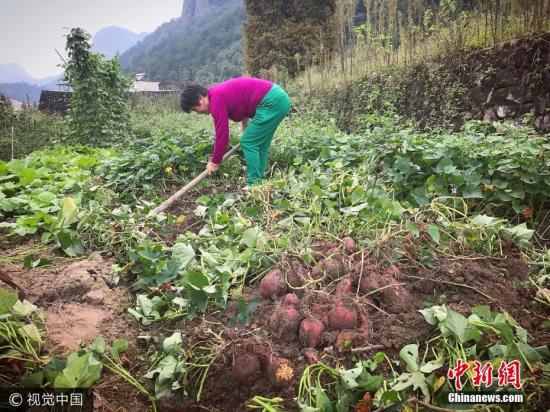 中国农村土地制度改革试点延期一年 官方释疑