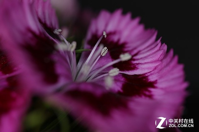 随身拍照好选择 热门轻便微单相机盘点 