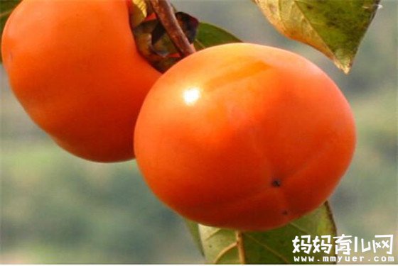 孕期忌口你造吗 孕妇十大禁忌水果名单白送不