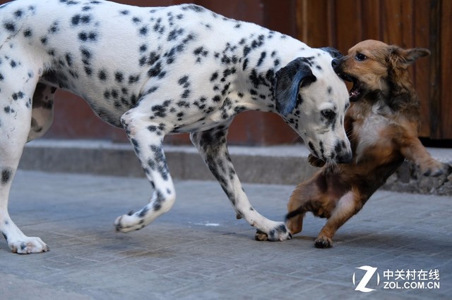 随身拍照好选择 热门轻便微单相机盘点 