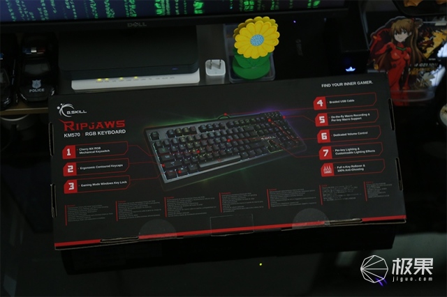 芝奇(G.SKILL)KM570背光机械键盘 芝奇(G.SKILL)KM570背光机械键盘