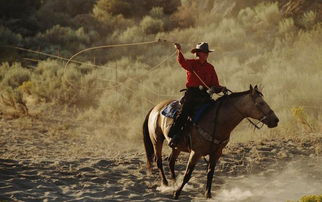 西部牛仔为什么骑马却叫