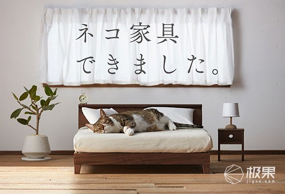 日本人推迷你宠物家居，又一个“人不如猫”系列！
