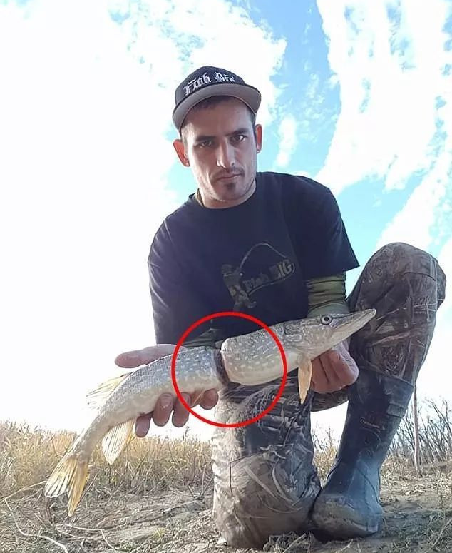 食物链顶端的人类,你该看看《蓝色星球2》