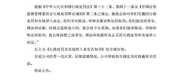 证监会针对龙薇传媒行政处罚决定书截图