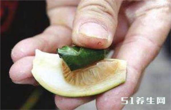 90后70%的人都喜欢吃这种水果,却被评为致癌