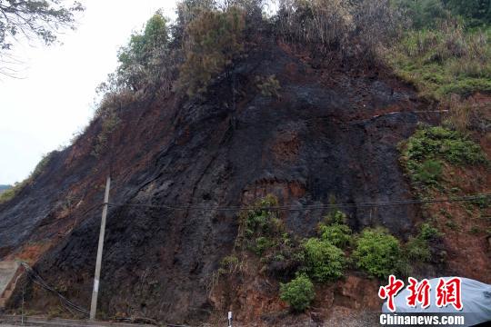 近日,福建省南平市区黄墩辖区环城路附近的山林连续多日突发大火。火灾现场之一。 丁晨摄 近日,福建省南平市区黄墩辖区环城路附近的山林连续多日突发大火。火灾现场之一。 丁晨摄