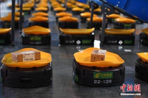 智能迎战“双11” 智能分拣机器人“小黄人”正式上岗。图/韩苏原 智能迎战“双11” 智能分拣机器人“小黄人”正式上岗。图/韩苏原