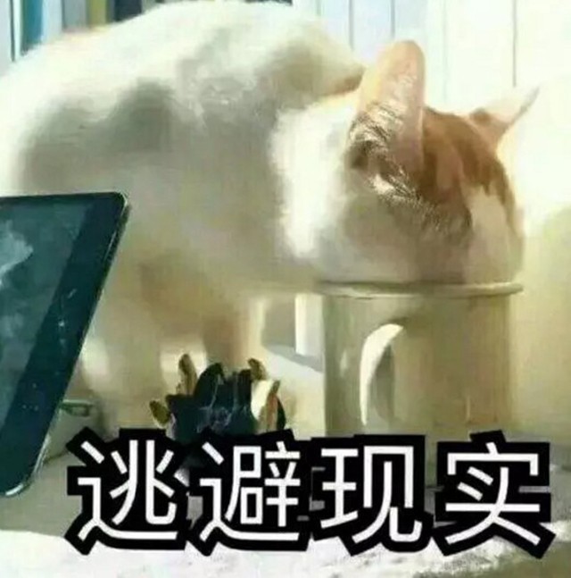 科技乱谈琴: