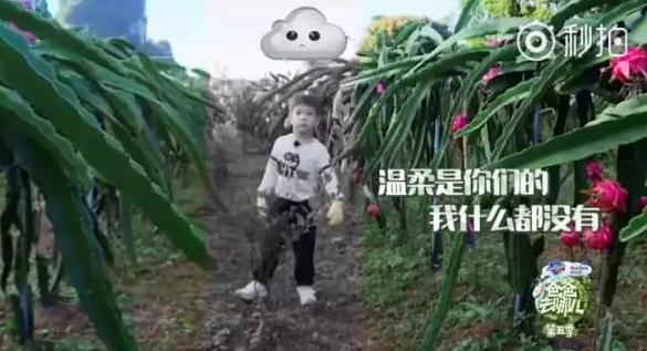 360截图20171110153233875