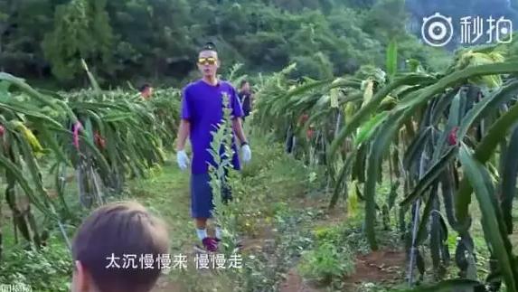 360截图20171110153226001