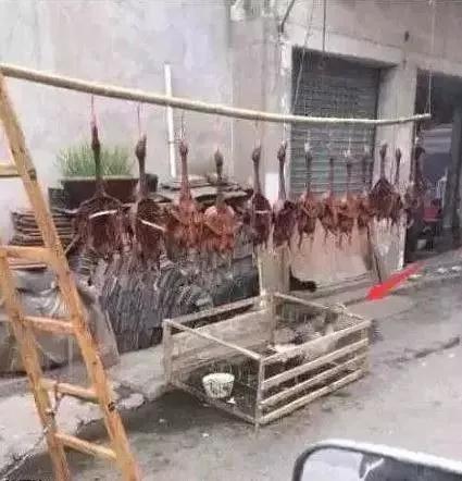 搞笑图片:表情们是这样打土豪的啊_哪在你麻将包客户图片