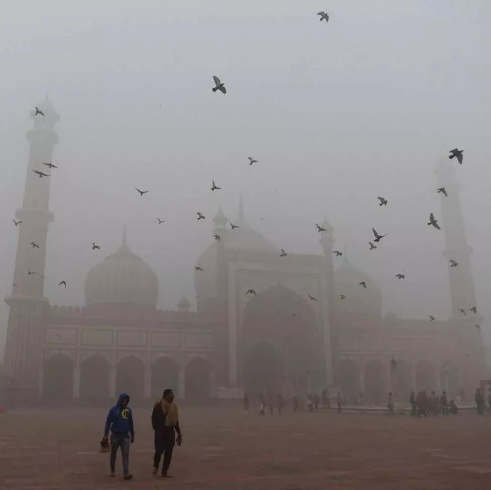 观察 | 治理空气污染哪家强？英媒：印度对中国羡慕不已