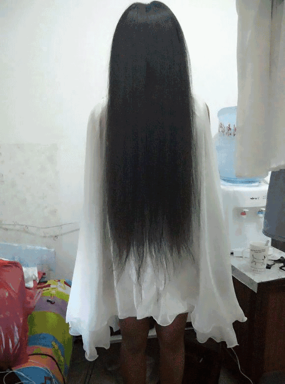 壁纸 动物 狗 狗狗 580_783 竖版 竖屏 手机 gif 动态图 动图