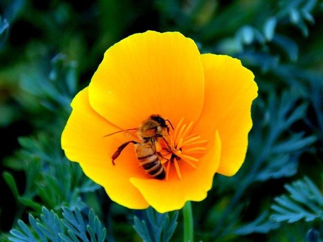 就是看脸怎么了!5款高颜值显示器推荐