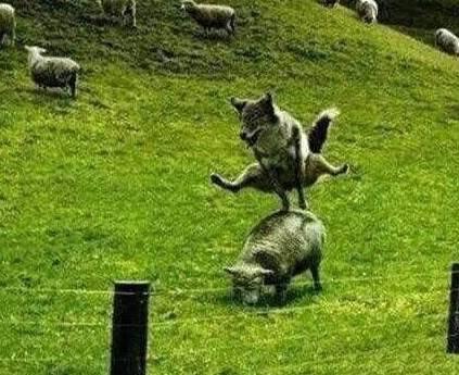 震惊!意大利、中国等强队无缘世界杯