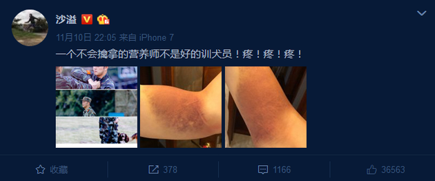 沙溢晒手臂伤痕 网友调侃：金钟罩铁布衫呢？