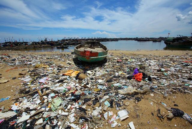 每年有上千万吨塑料垃圾进入海洋,对动物的危