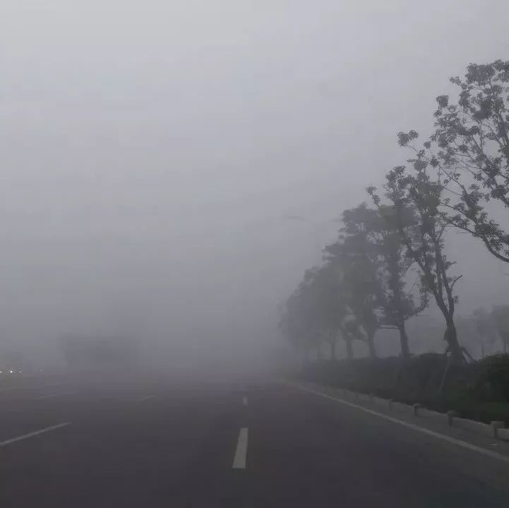 安徽30余车连环相撞 “团雾”究竟有多可怕
