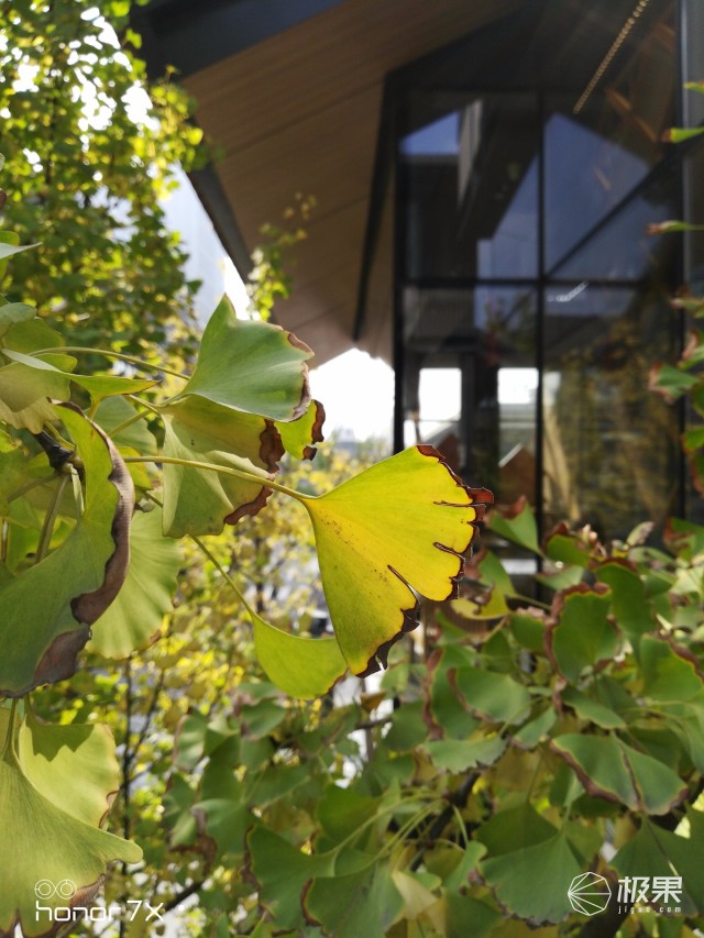 荣耀畅玩7X手机