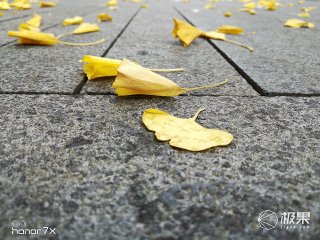 荣耀畅玩7X手机