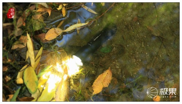 NEXTORCH（纳丽德）TA15战术手电