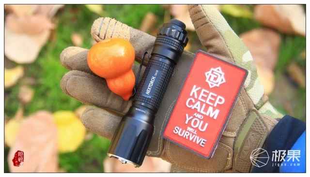 NEXTORCH（纳丽德）TA15战术手电