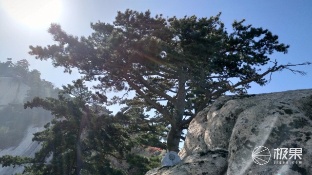 努比亚Z17S手机 努比亚Z17S手机