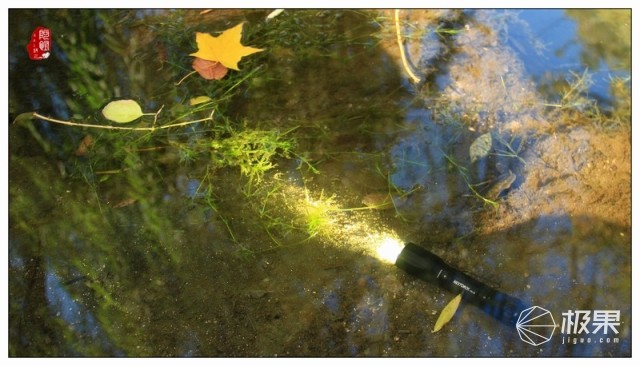 NEXTORCH（纳丽德）TA15战术手电