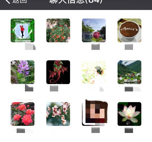 望京舞团群聊头像一览