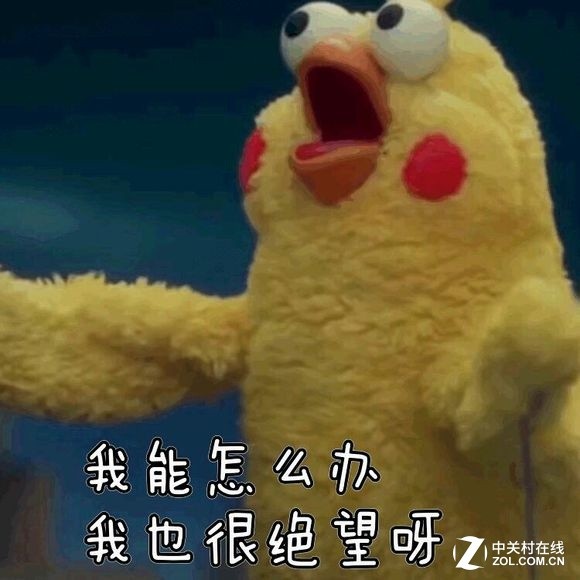 双·11花万元攒机 为何性能与六千元主机一样？  