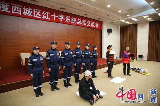 北京西城红会召开学习十九大精神暨年度工作总