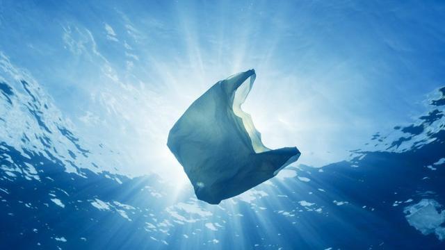 海龟拖着塑料袋鲸鱼被绳子缠住,塑料垃圾正在