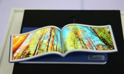 维信诺展示新款OLED面板及柔性OLED原型