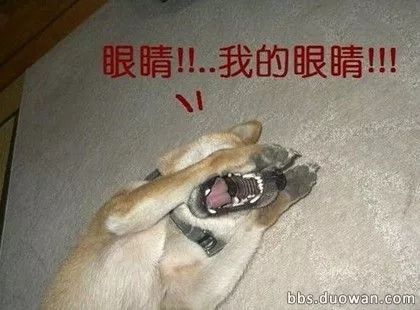 徒手挖眼球是什么感觉?真的这么容易一抓就出来了吗?就像挖勺西瓜
