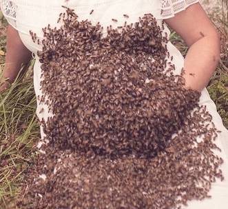 女子拍被蜜蜂叮孕照 离预产期6天胎死腹中