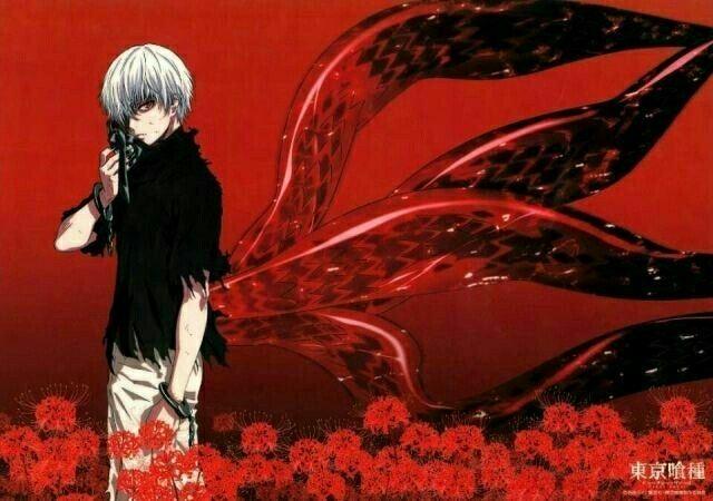 东京喰种:金木小天使赫子或将再次进化