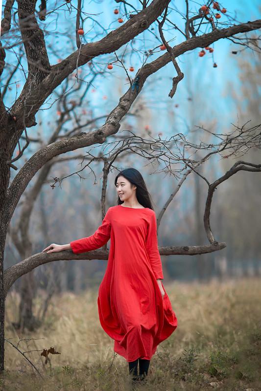 美女摄影:柿子树下的红裙子美女