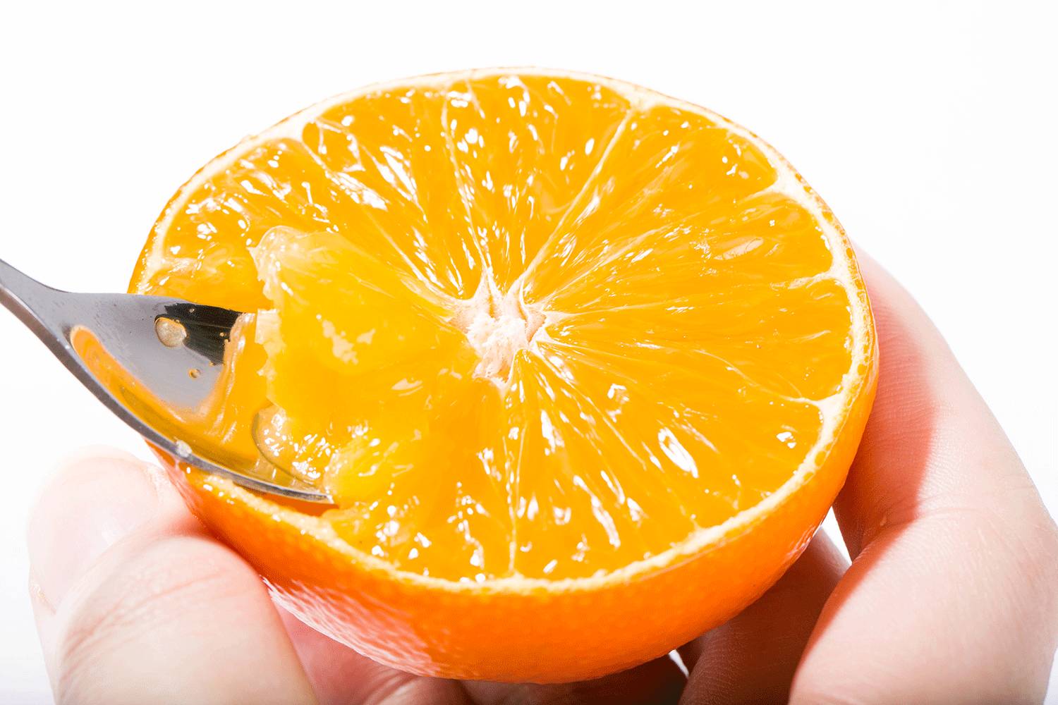 知道橙子怎样分类吗？