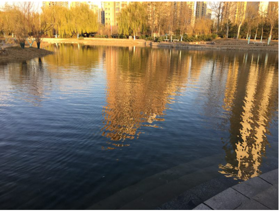 化腐朽为神奇:天津南翠屏公园水体生态修复项