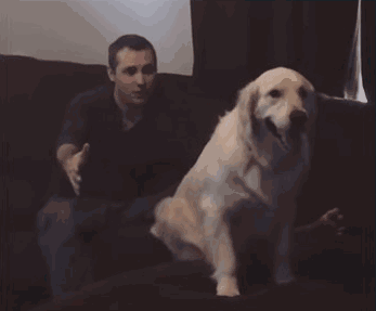 B7A8BA59A022A2E2BF11388EE3143450B1F5141A_size311_w347_h287.gif