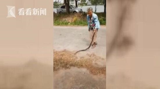 74岁老奶奶徒手抓蛇 抽得蛇吐出蟾蜍