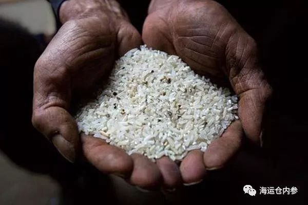 志愿者在江西检出毒大米，村民为何举报两年无结果？