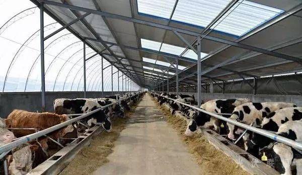 装个光伏电站,比投资买车划算!老百姓理财观念