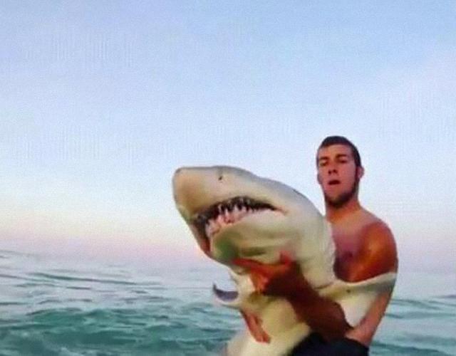 胆大男子把大鲨鱼从水里抱起来，合影后又将其放生