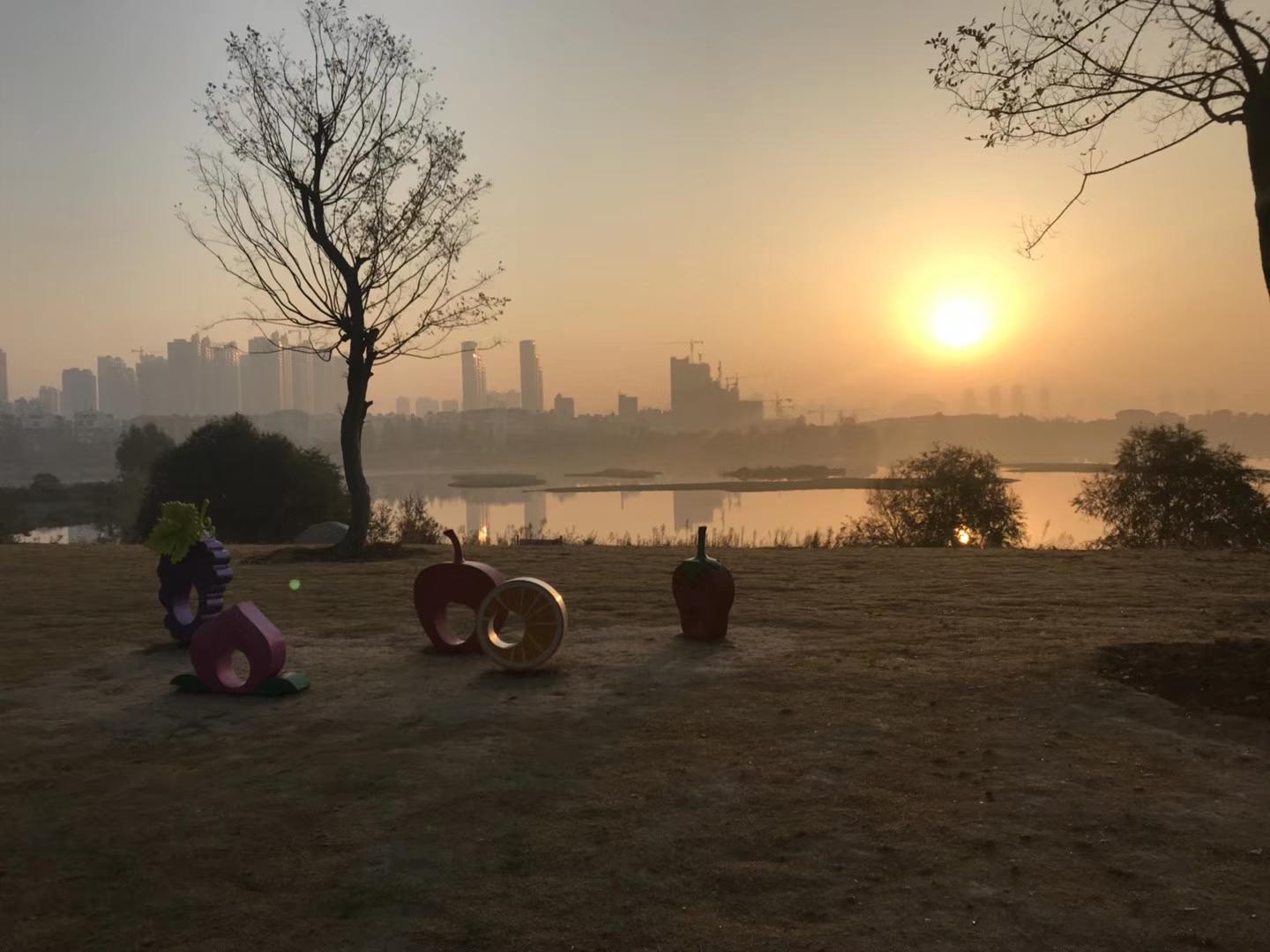 汉阳墨水湖公园的清晨 偶遇一个遛鸭子的小男孩