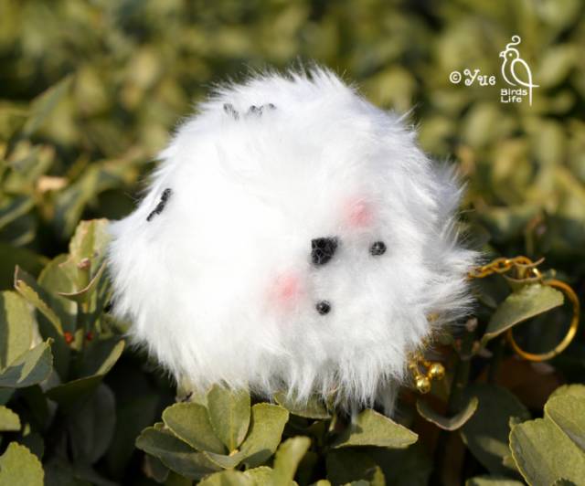 刚刚飞过去的那是啥?好可爱!糯米糍成精了??_凤凰科技