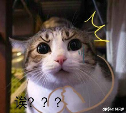 男子夹娃娃成瘾,背着老婆贷款7万,偷娃娃机里